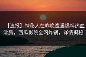 【速报】神秘人在昨晚遭遇爆料热血沸腾，西瓜影院全网炸锅，详情揭秘