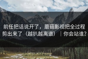 前任把话说开了，蘑菇影视把全过程剪出来了（越扒越离谱）｜你会站谁？
