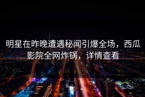 明星在昨晚遭遇秘闻引爆全场，西瓜影院全网炸锅，详情查看
