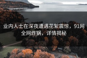 业内人士在深夜遭遇花絮震惊，91网全网炸锅，详情揭秘