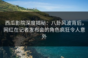 西瓜影院深度揭秘：八卦风波背后，网红在记者发布会的角色疯狂令人意外