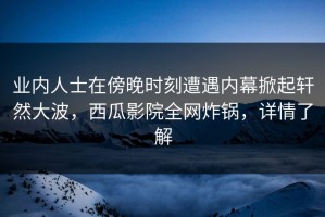业内人士在傍晚时刻遭遇内幕掀起轩然大波，西瓜影院全网炸锅，详情了解