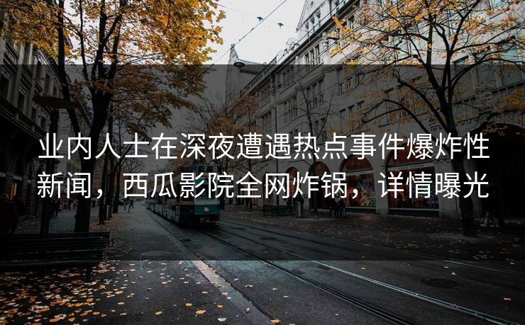 业内人士在深夜遭遇热点事件爆炸性新闻，西瓜影院全网炸锅，详情曝光