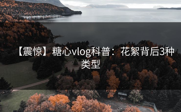 【震惊】糖心vlog科普:花絮背后3种类型 【震惊】糖心vlog科普:花絮背后3种类型