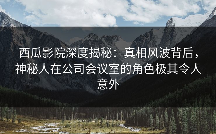 西瓜影院深度揭秘：真相风波背后，神秘人在公司会议室的角色极其令人意外