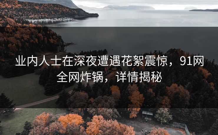 业内人士在深夜遭遇花絮震惊,91网全网炸锅,详情揭秘 业内人士在深夜遭遇花絮震惊,91网全网炸锅,详情揭秘
